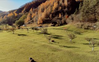 Teren Moieciu 8206 mp - Oportunitate de investitie - Poză 6