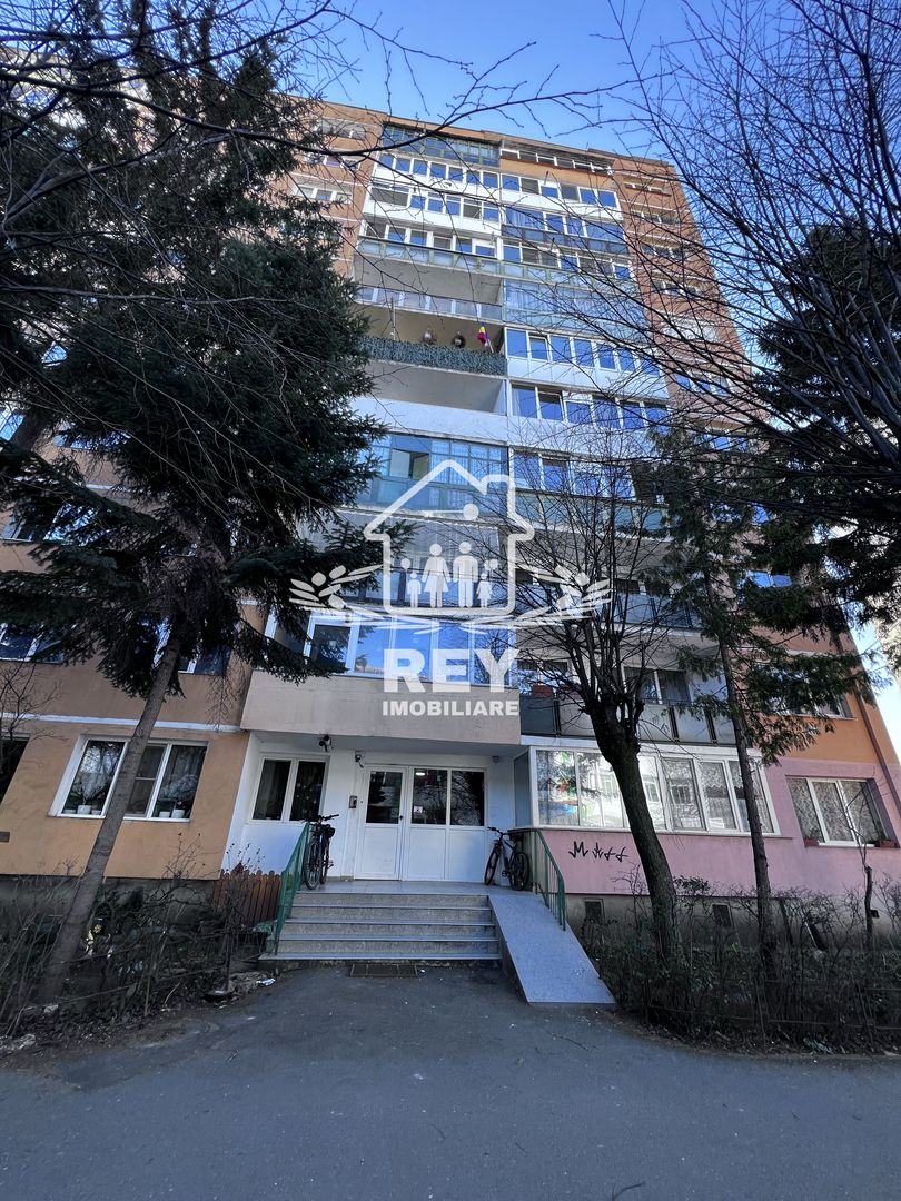 Apartament 2 camere,bloc cu lift, Str. Oștirii/Mihai Viteazul/N.Iorga - Poză 17