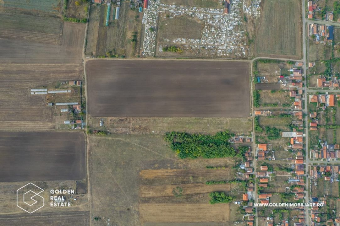 Teren intravilan, 14900 mp, Curtici - Poză 4