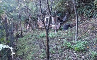 Casă Valea Roșie, Baia Mare - Poză 12