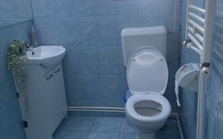 Apartament/mansardă 3 camere,Micro 17,utilat si mobilat - Poză 20