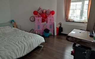 Sanandrei, Spurafete generoase, drum asflatat - Poză 13