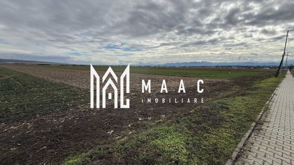 Teren intravilan | 9600 mp | Șură Mică | Utilități | Drum Asfaltat - Poză 1