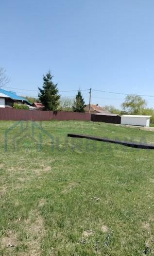 Teren extravilan 7.200 mp, Bordea - Grajduri, oportunitate investiție - Poză 13
