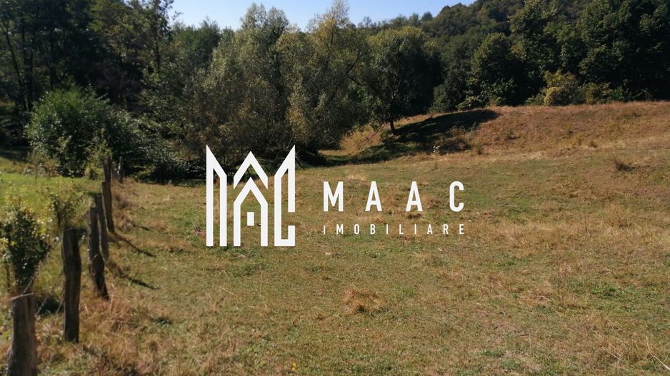 Teren Extravilan 20.000Mp I Stoenești -Vâlcea I Apă Curentă și Pădure - Poză 10