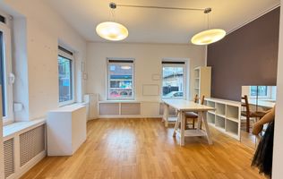 Un apartament Chic ideal ca locuinta sau activitate