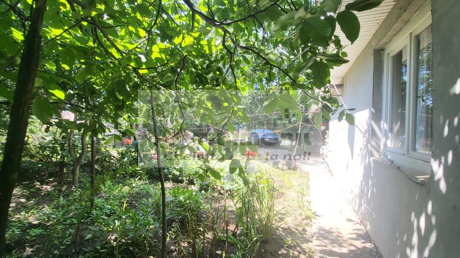 Casă individuala 4000mp teren com Alexandru Ioan Cuza sat Kogalniceni - Poză 3