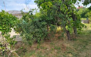 Teren intravilan 1.200 mp cu casă veche 77 mp, sat Goruni, comuna Tomești, județul Iași - Poză 8