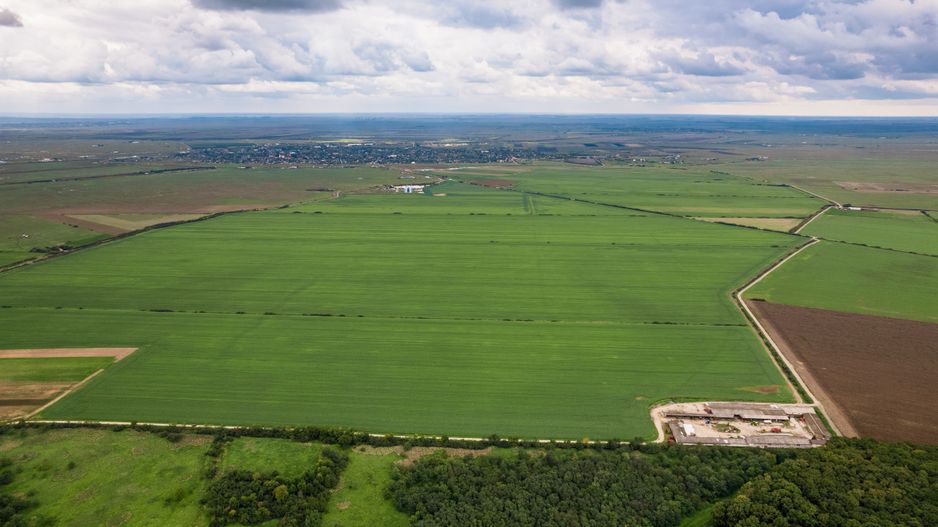 Teren 13500000 mp în Socodor - Poză 11