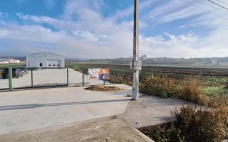 Hala de vanzare in Racarii de Jos - Poză 16