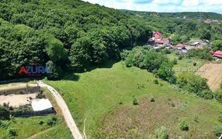 Vanzare teren 904 mp, Bascov, langa padure - Poză 10