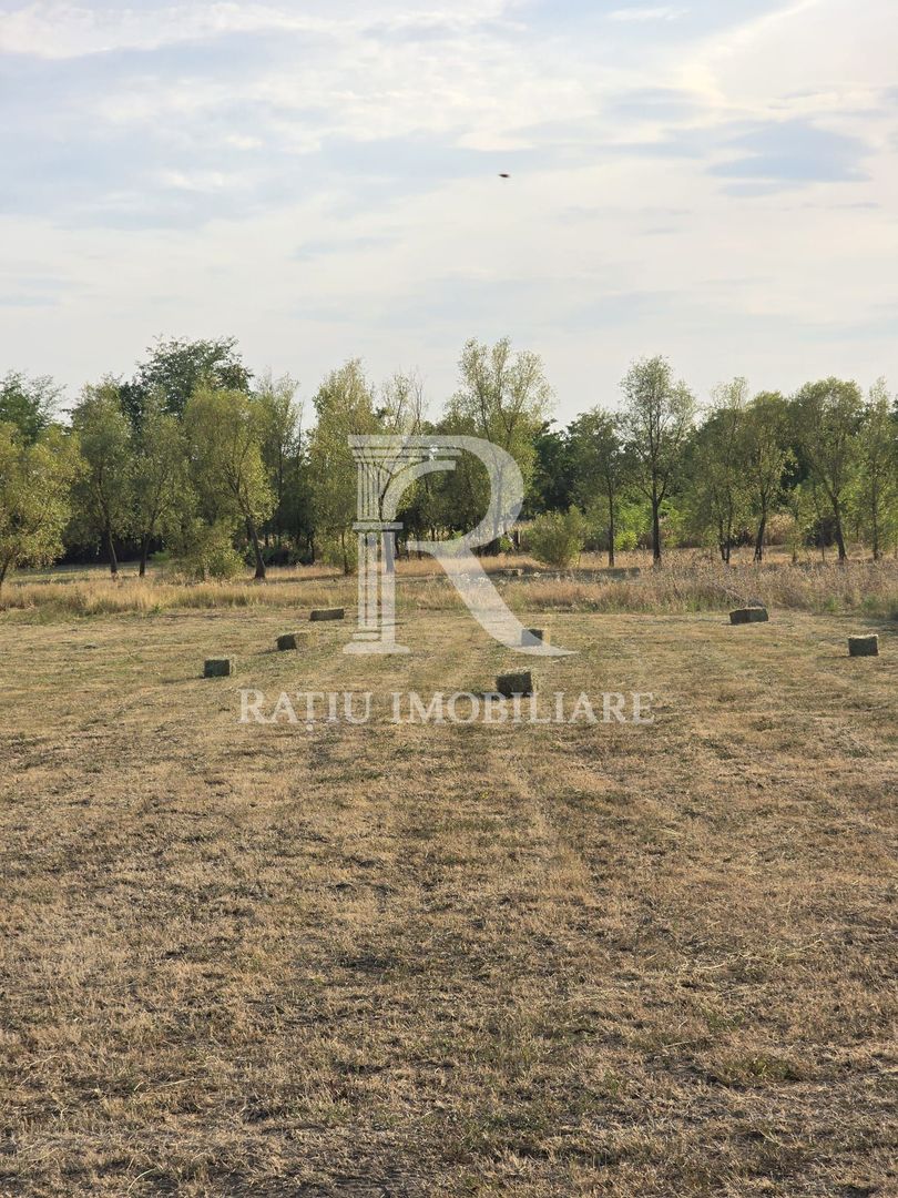 Teren intravilan 6.514mp | 39m front stradal | Ciocaia | Săcuieni - Poză 7
