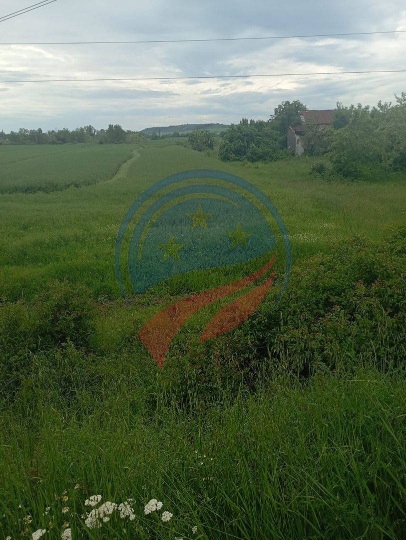 Teren 7140 mp de vanzare Murgasi - Oportunitate  investiție - Poză 3