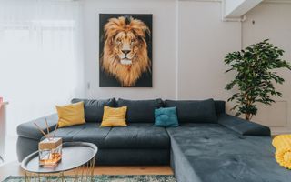 Apartament 3 camere, Piața Unirii Oradea - Poză 1