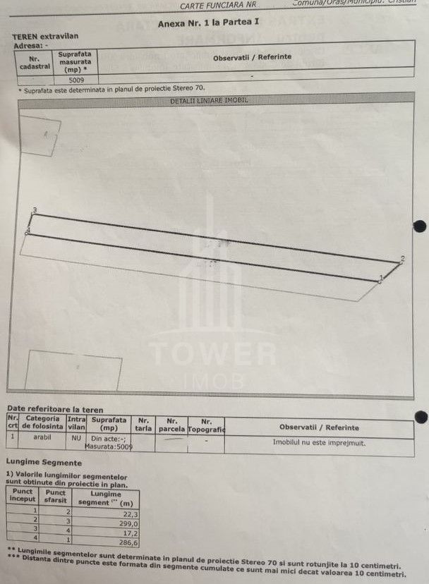 Teren 10000 mp extravilan Cristian - Poză 3