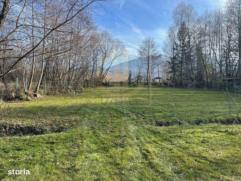 Teren 3349 mp de Vânzare | Bran – Panoramă Munții Bucegi - Poză 10