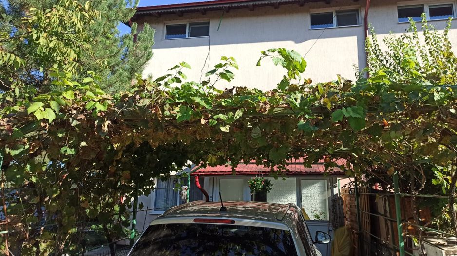 vila triplex,deosebita,mob-util partial/complet/Frumusani-Calarasi - Poză 17