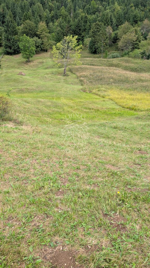 Parcele teren cu Panorama la Lac Colibita-ideal Cabana COMISION 0% ! - Poză 7