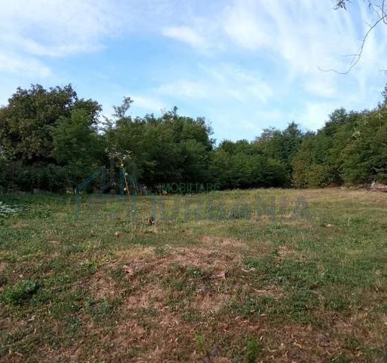Teren de vânzare în Rediu, Iași – 2.000 mp - Poză 1