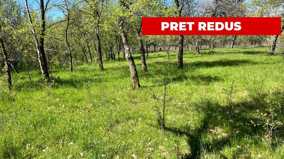 Teren intravilan, Comuna Corbi, Jud. Argeș, toarte utilitatile - Poză 1