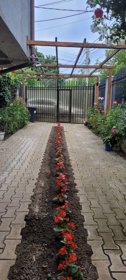 3 CAMERE Poligrafiei Jiului bloc 2006 - Poză 6