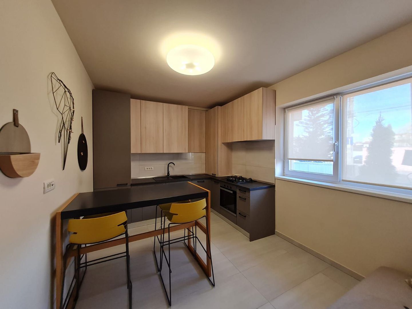 Apartament 1 camera cu grădina - Poză 19