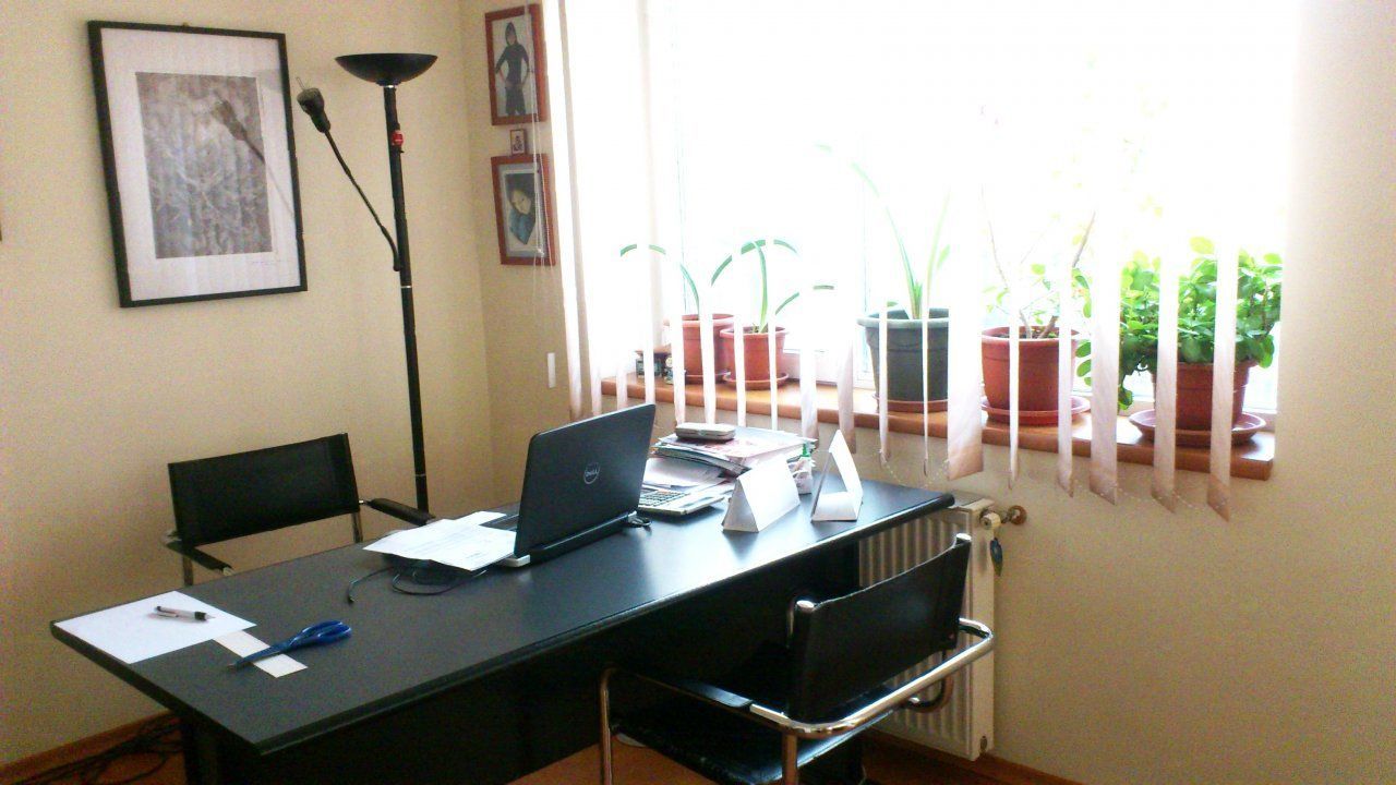 Casa/Vila/Spatiu comercial  Rahova-Sos.Salaj - Poză 12