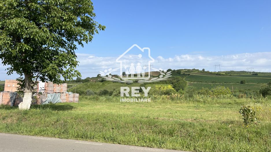 Teren HALA de vanzare iesirea din Sura Mare spre Hamba. - Poză 2