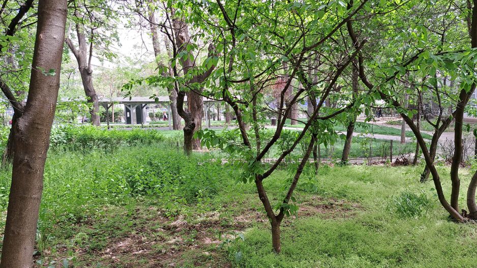 Garsoniera in zona Drumul Taberei - strada Brasov - Poză 7