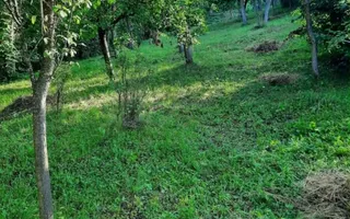 Casă de vânzare în NICULA ( Cluj) - Poză 13