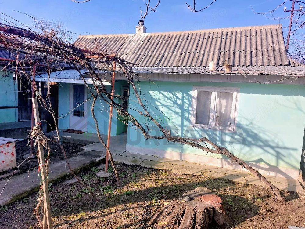Casă cu teren intravilan 6.900 mp și extravilan 950 mp, comuna Miroslovești, județul Iași, ieșire directă E85 - Poză 4