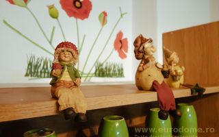 Casa renovata, mobilata si utilata complet - Poză 20