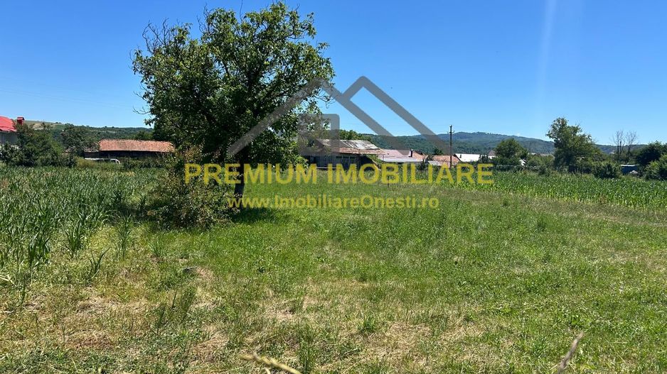 Teren intravilan de vânzare – Cașin, județul Bacău - Poză 4