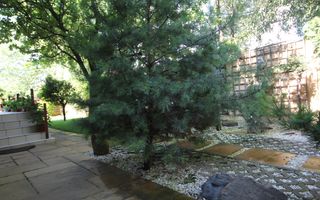 Casa individuala zona Soarelui - Poză 57