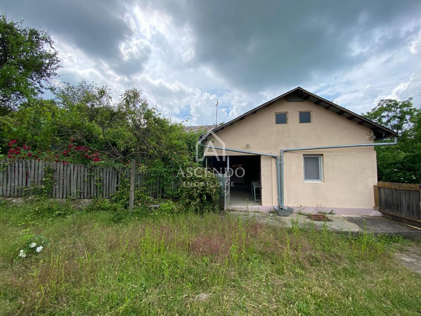 Domeniu 15.900 mp în Fințești | Casă + Investiție Dealu Mare - Poză 8
