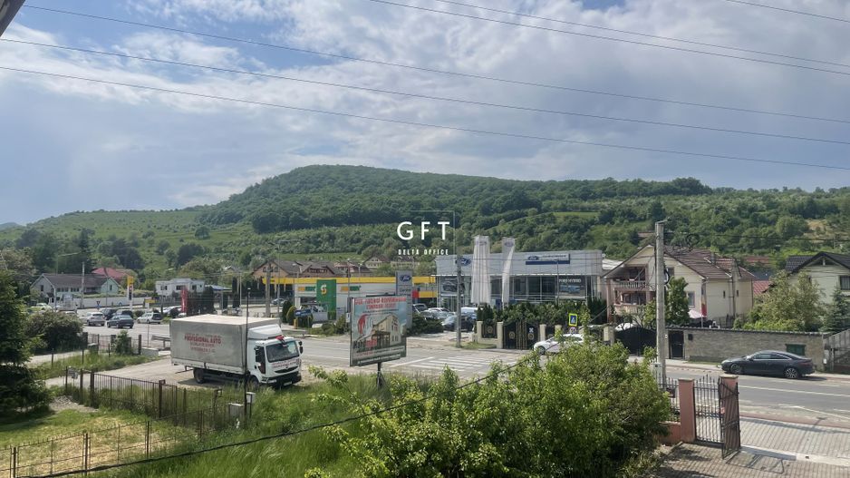 Casa 353 mp utili+ teren 2200 mp, VIISOARA - Poză 1