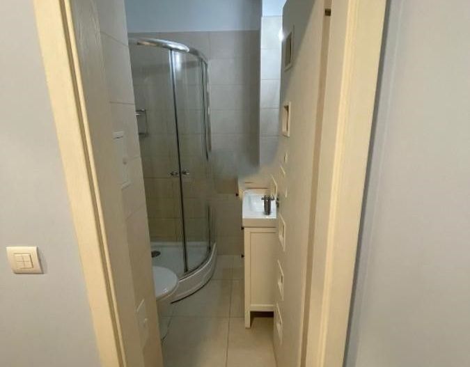 Apartament 3 camere zona Basarabiei - Costin Georgian - Carei - Poză 7