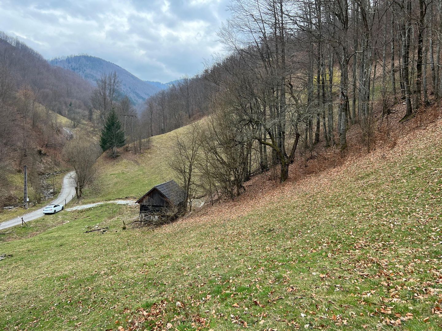 Teren intravilan 1.28ha Remeti–perfect pensiune/cabane, zonă turistica - Poză 4