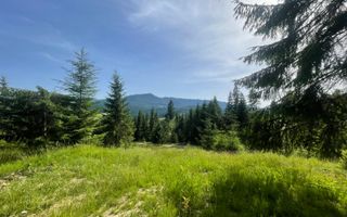 Teren intravilan 1074 mp cu utilitati-ideal pensiune, cabane-Colibita - Poză 2
