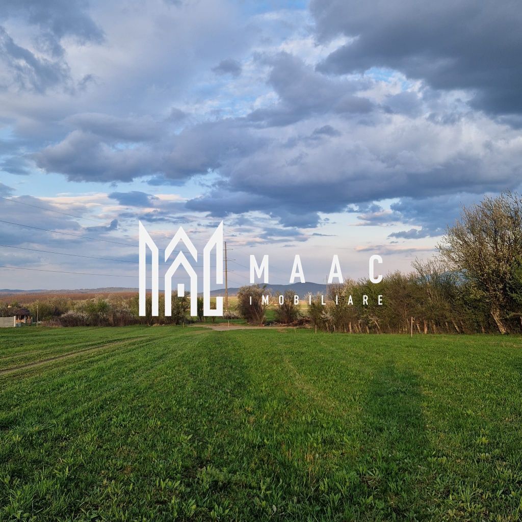 Teren | Extravilan | 3404 MP | Sadu | Oportunitate Investiții - Poză 4