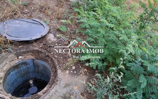 NECTORA IMOB-Teren Intravilan PALEU, 676 mp, Autorizatie Constructie - Poză 3