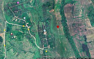 Terenuri extravilane de vânzare – Vizma & Crivobara, comuna Secaș, jud. Timiș - Poză 8