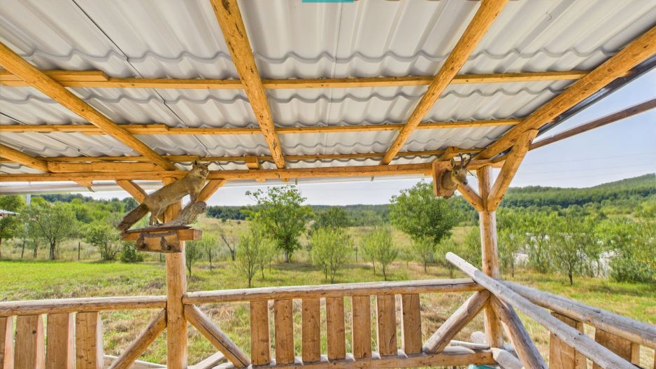 Casă renovată cu teren generos lângă Ususău - Poză 13