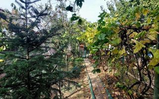 Proprietar casa individuala Bucurestii Noi-Aeromodelului- FARA AGENTII - Poză 11