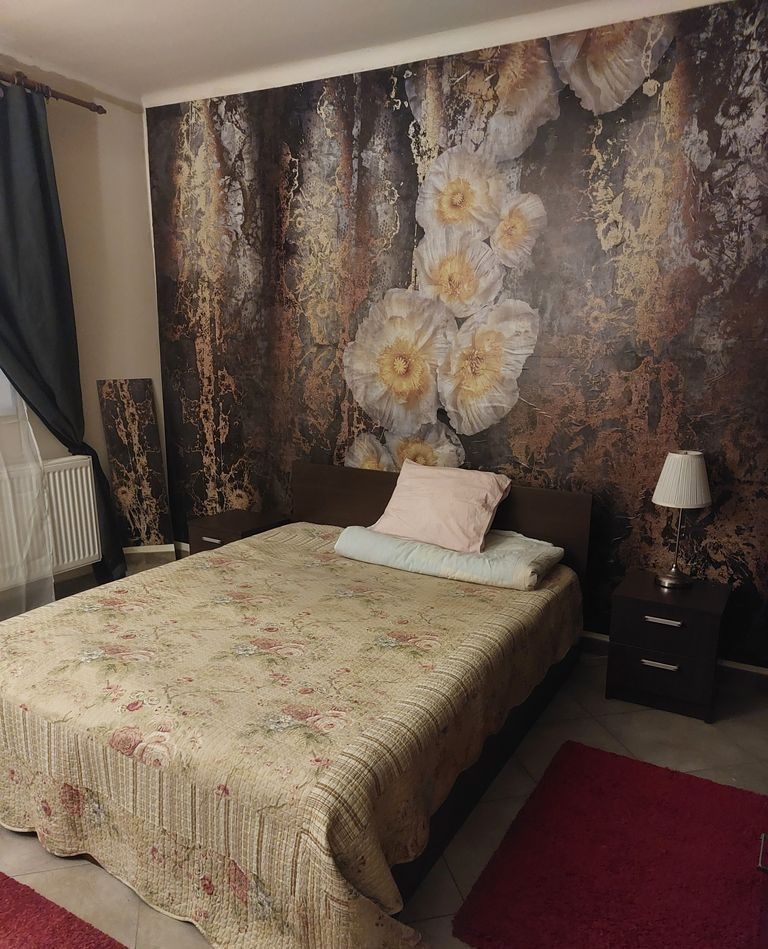 APARTAMENT COCHET  ZONA DOROBANTI CAPITALE - Poză 4