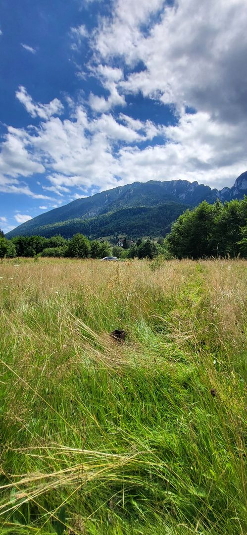 Plaiul Foii, teren pretabil casă de vacanță, pensiune, comision 0% - Poză 7