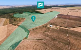 Teren intravilan agricol 558.500 mp Chevereșu Mare - Poză 1