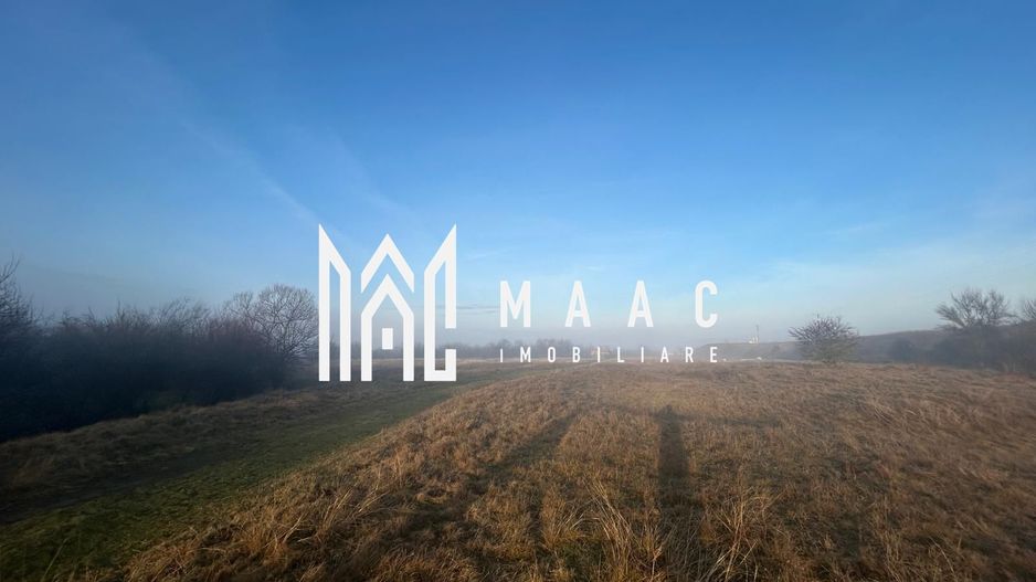 Teren cu potențial turistic I Valea Avrigului I 2900 MP - Poză 3