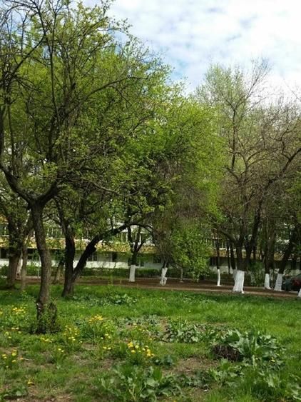 APARTAMENT ELEGANT METROU ZONA DRUMUL TABEREI - Poză 14