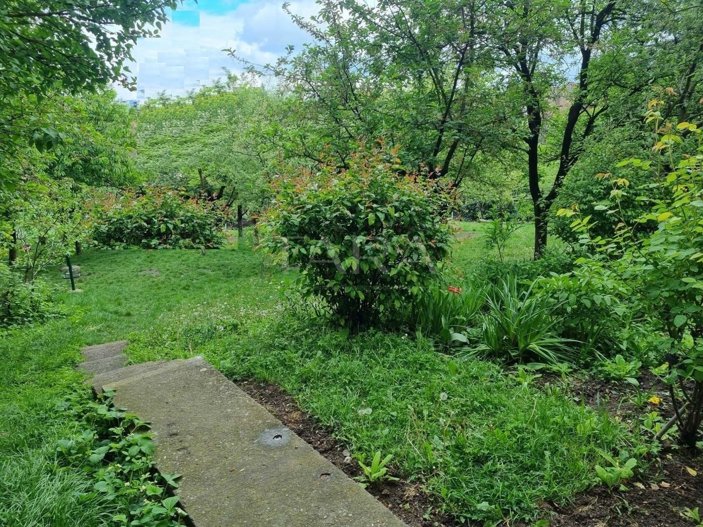 Ultracentral, 3 camere în vila interrbelica, cu grădină si curte! - Poză 1